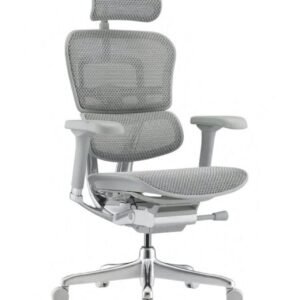 EH Aura Elite 2.0 Grey